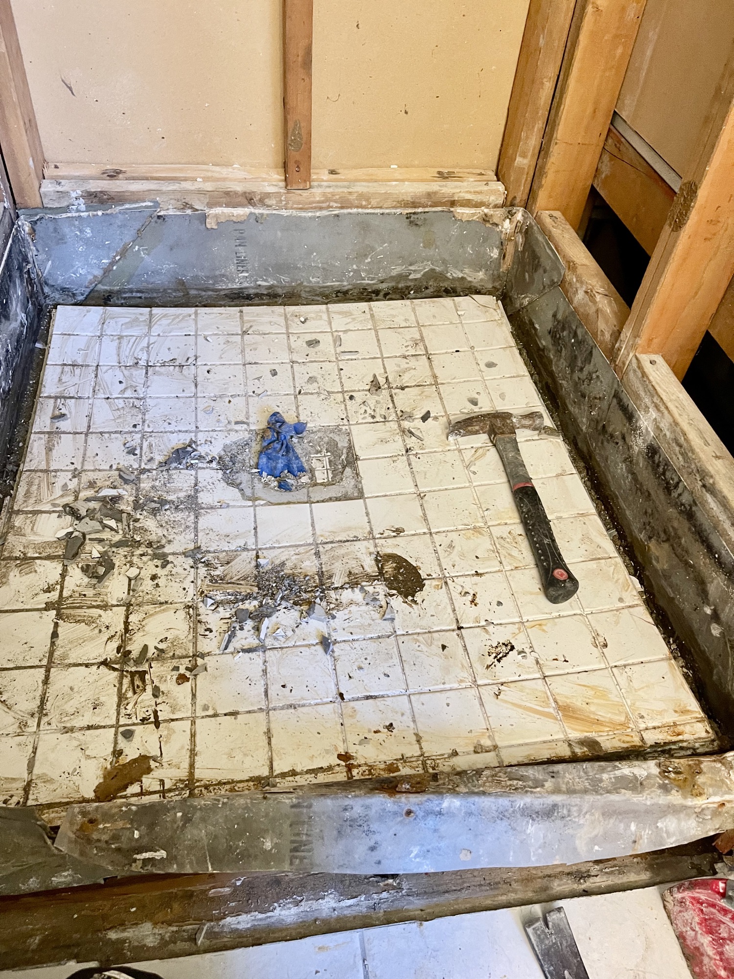 Project 13 — Site & Preparation